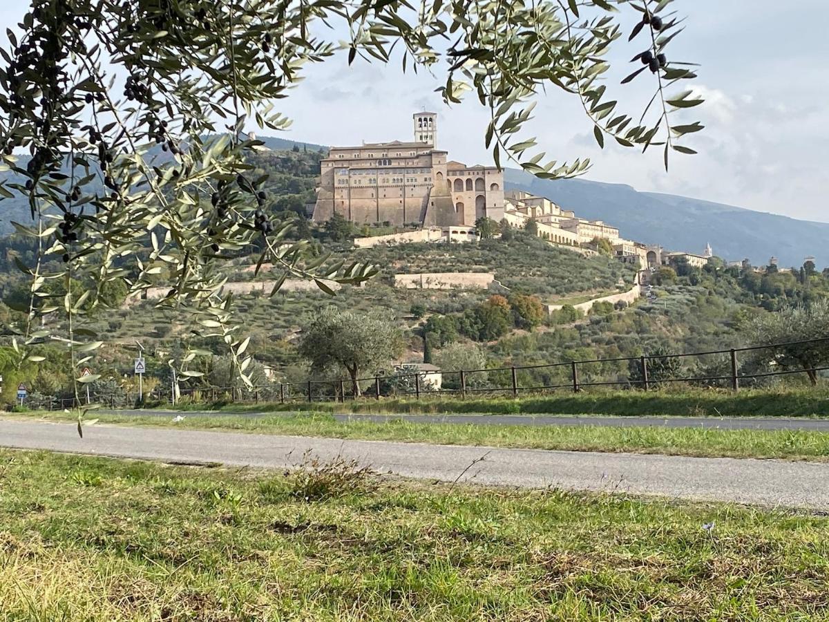 Agriturismo Il Girasole Асизи Екстериор снимка