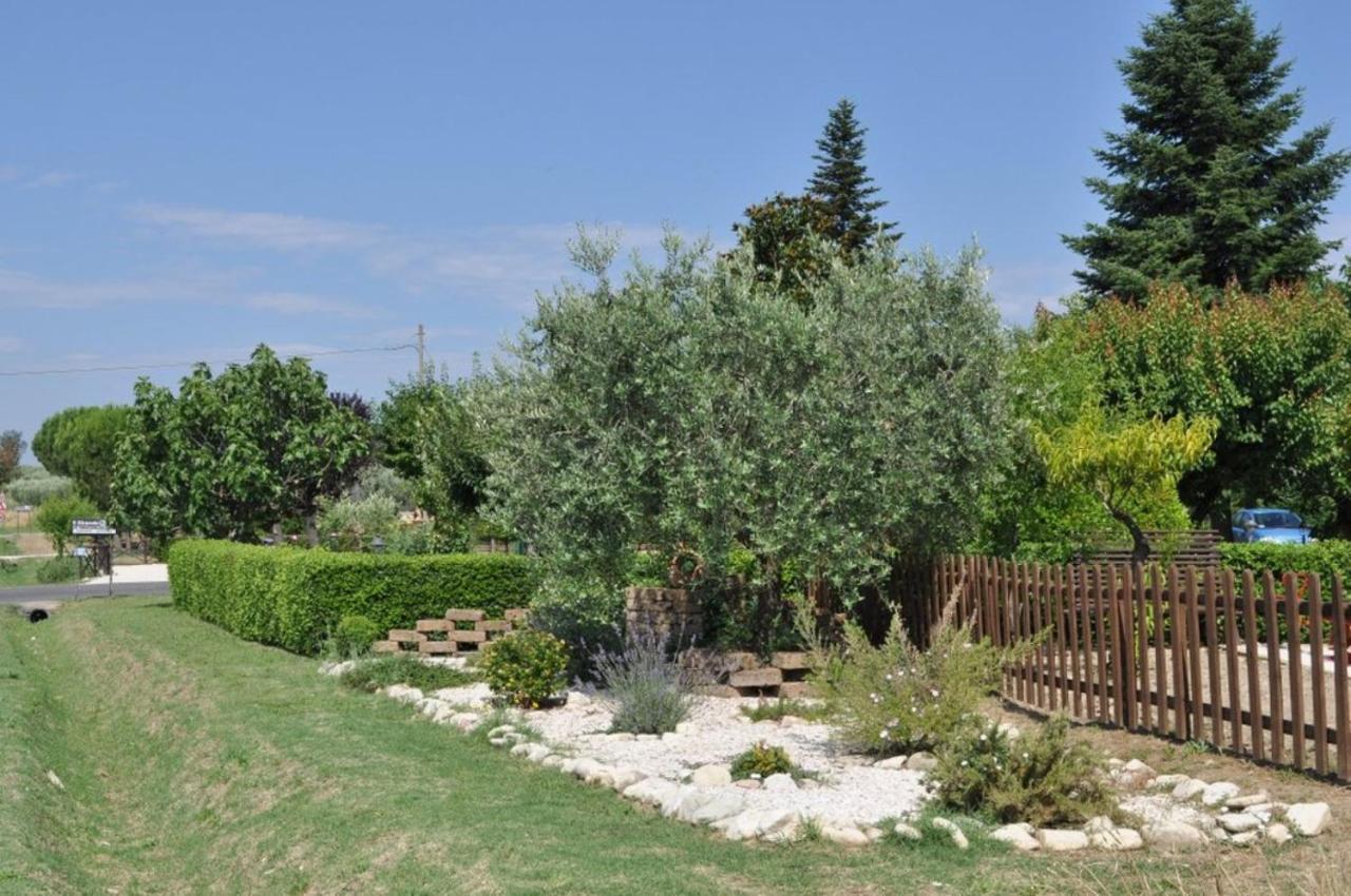 Agriturismo Il Girasole Асизи Екстериор снимка